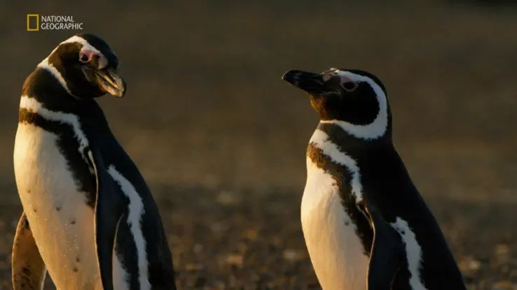 Thumbnail for Dangerous Waters Season 1 Episode 1