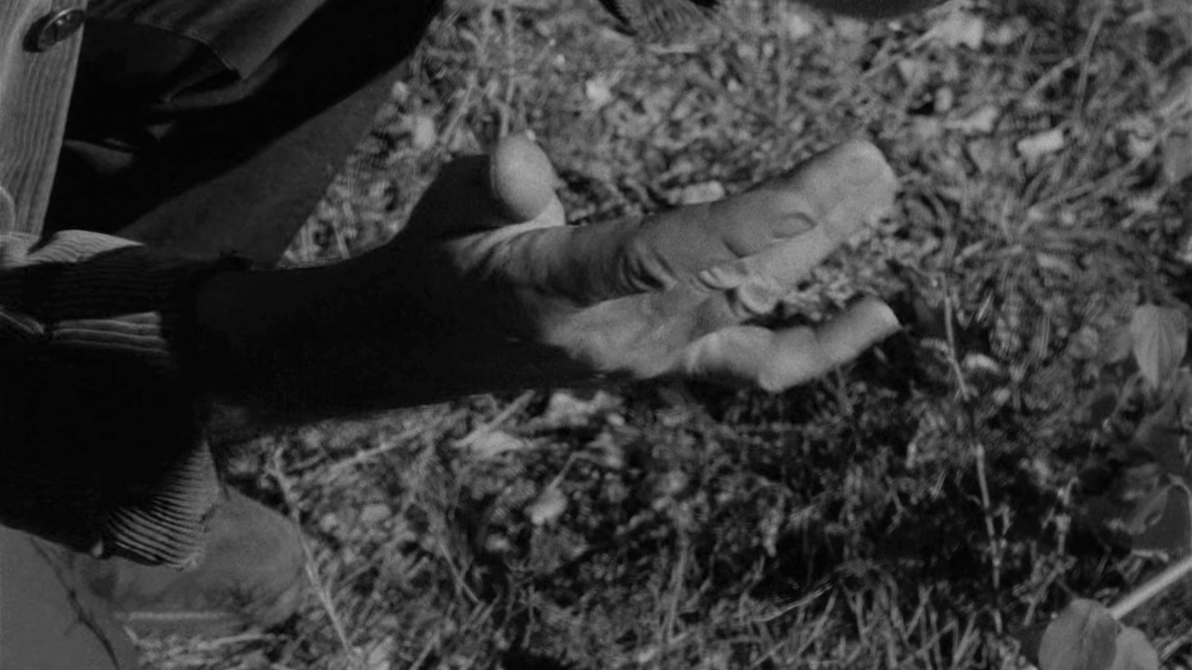 Mouchette (1967)