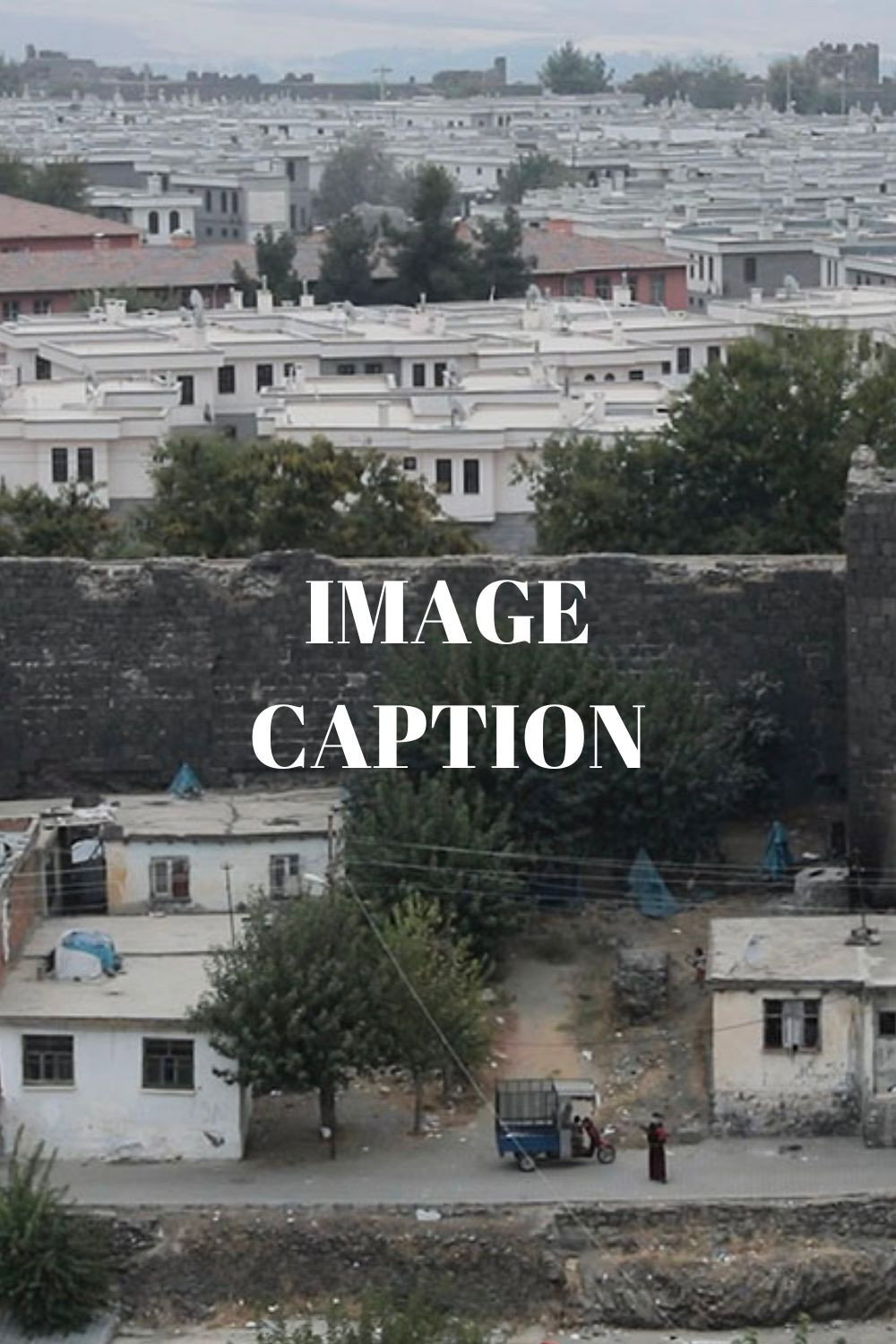 Image Caption