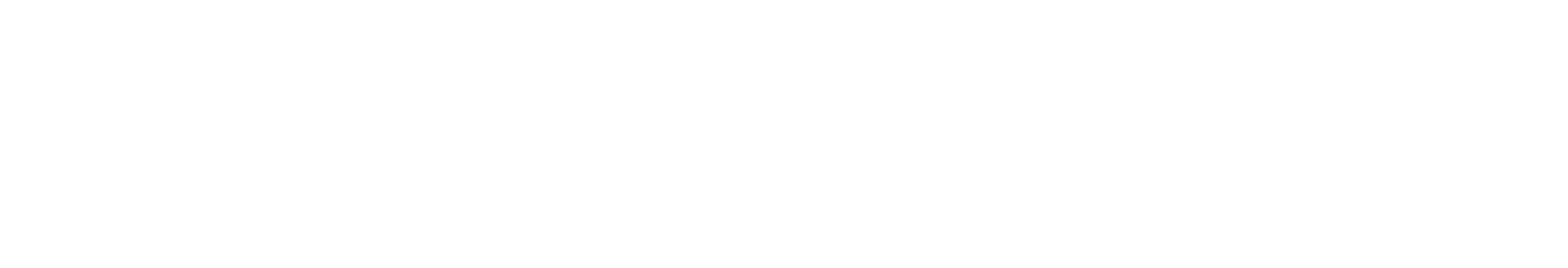 Election Logo