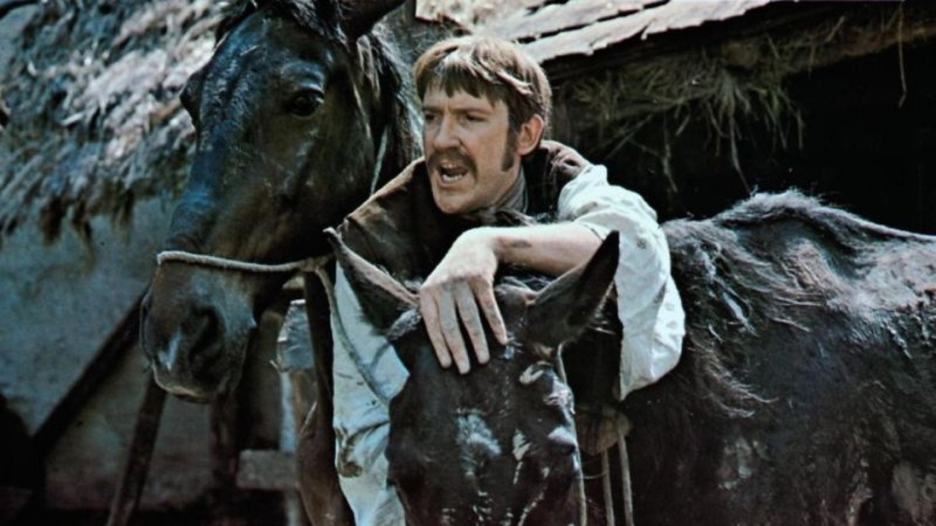 Michael Kohlhaas - The Rebel (1969)