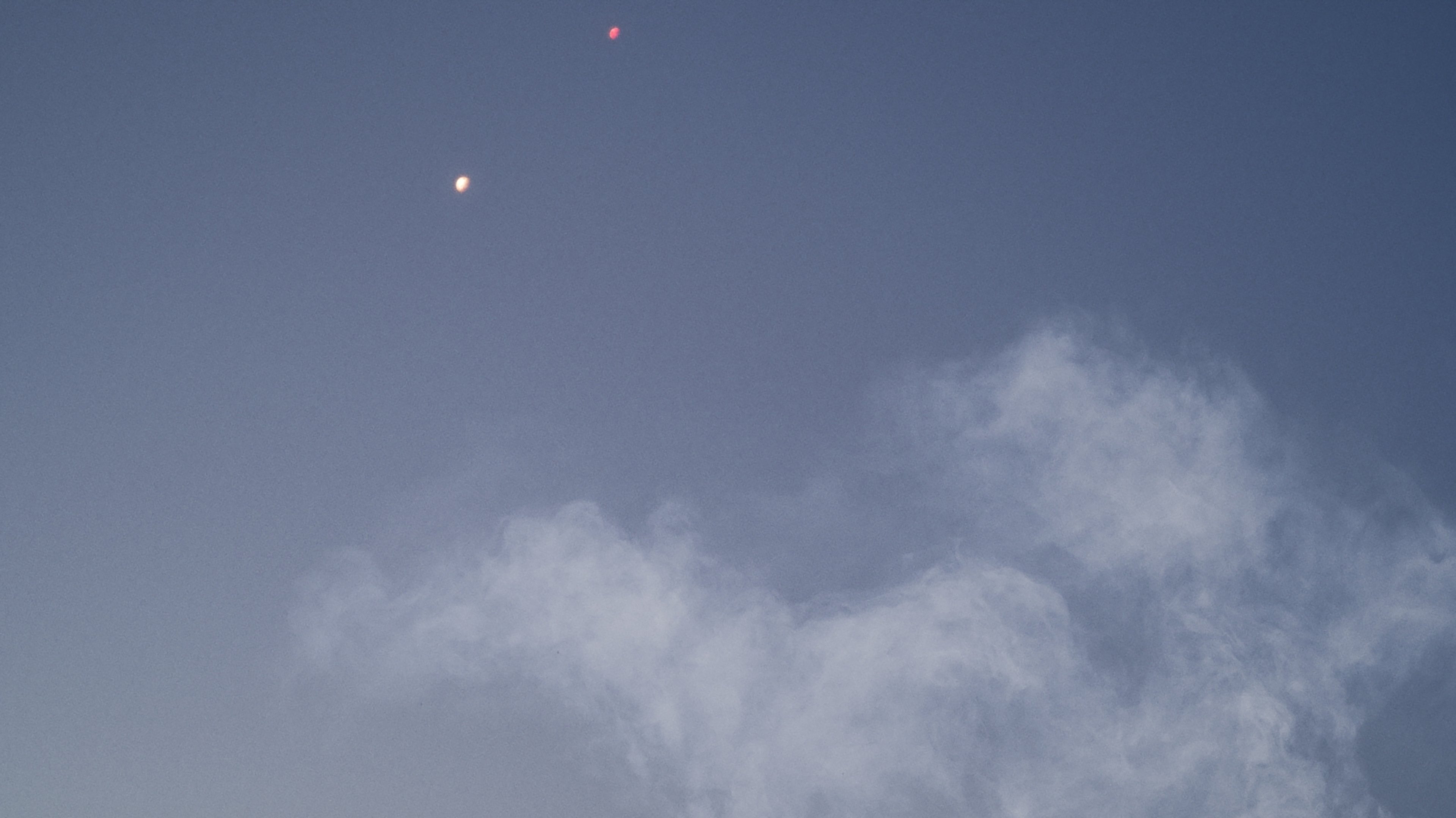 Conference of the Birds (2025)