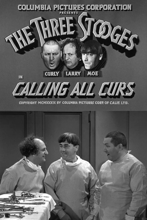 Calling All Curs