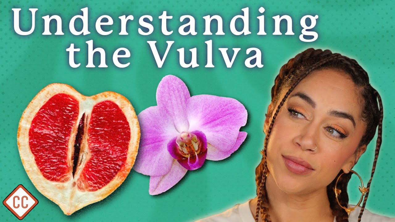Thumbnail for The Vulva & Vagina Explained Season 1 Episode 2