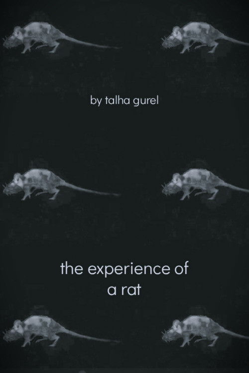 The Experience of a Rat
