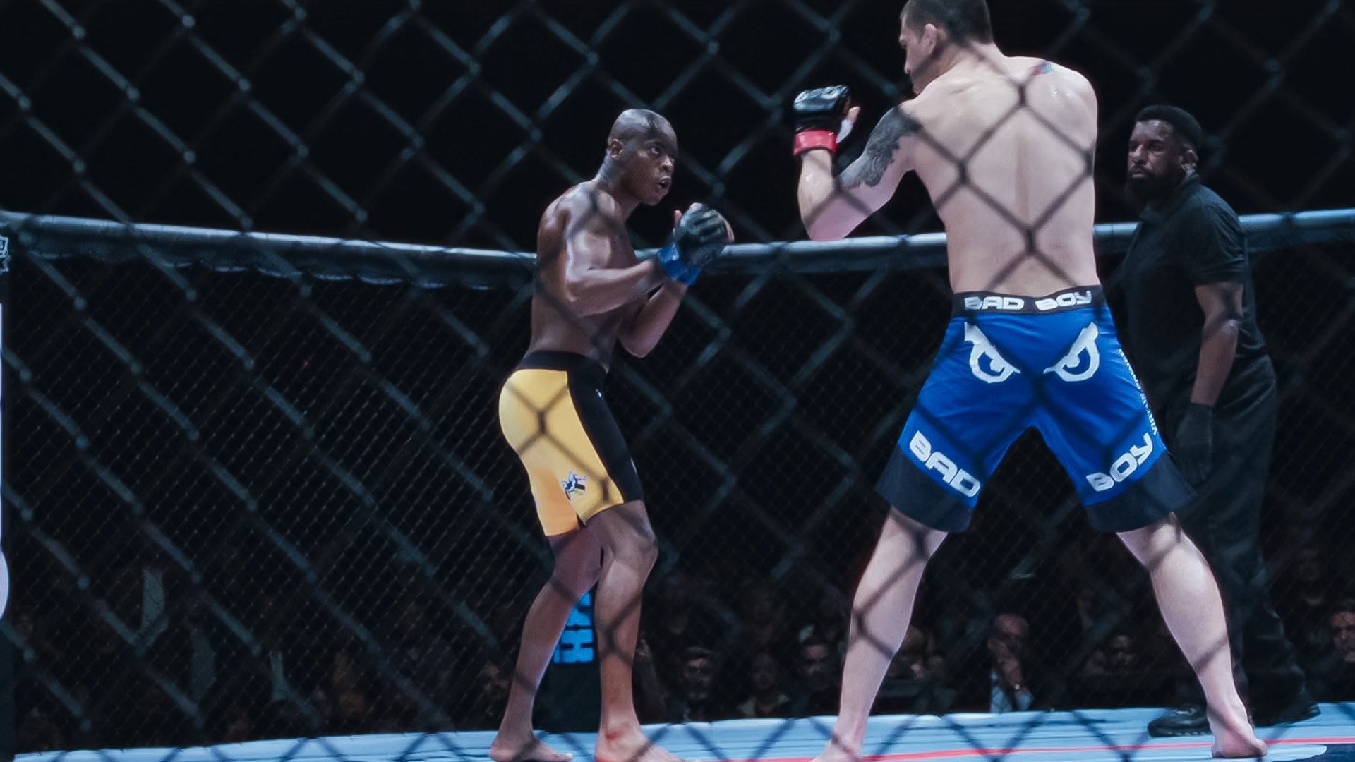 Assistir Anderson Spider Silva: 1x4 Online