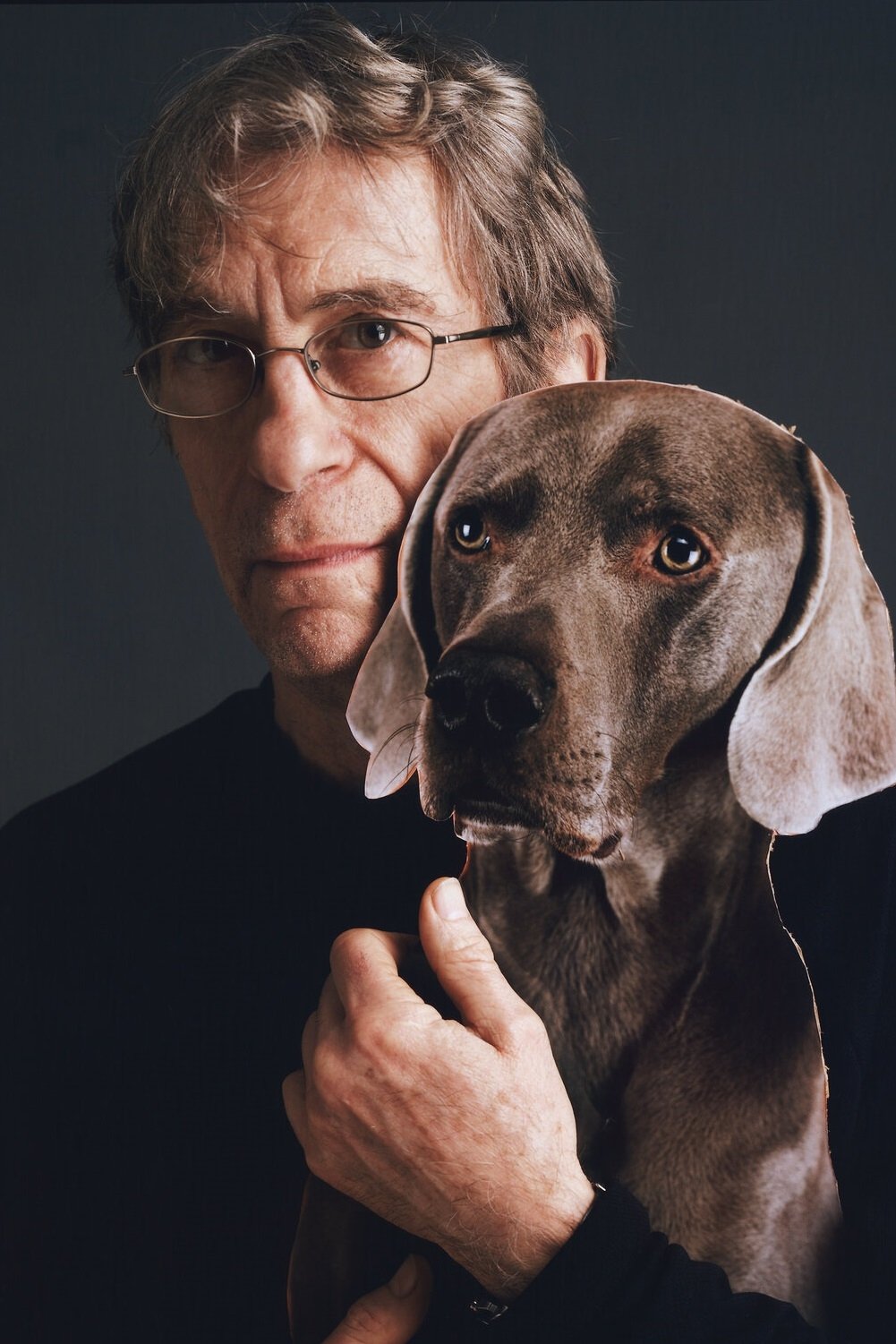 et billede af William Wegman