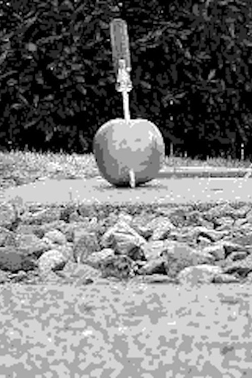 the apple core Cover