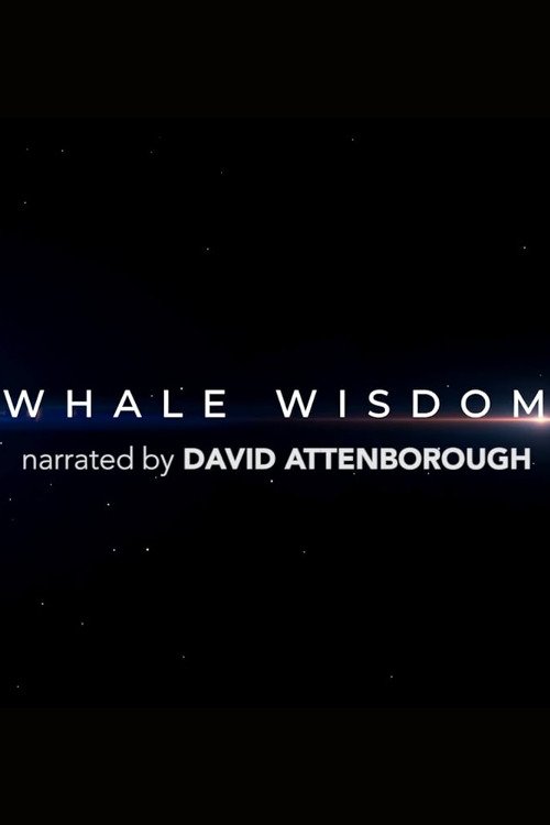 Whale Wisdom