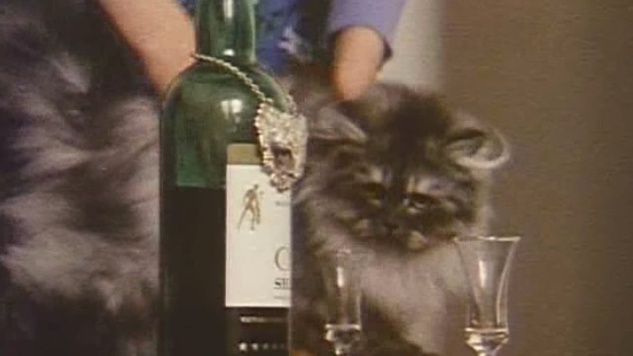 Who's Who (1979)