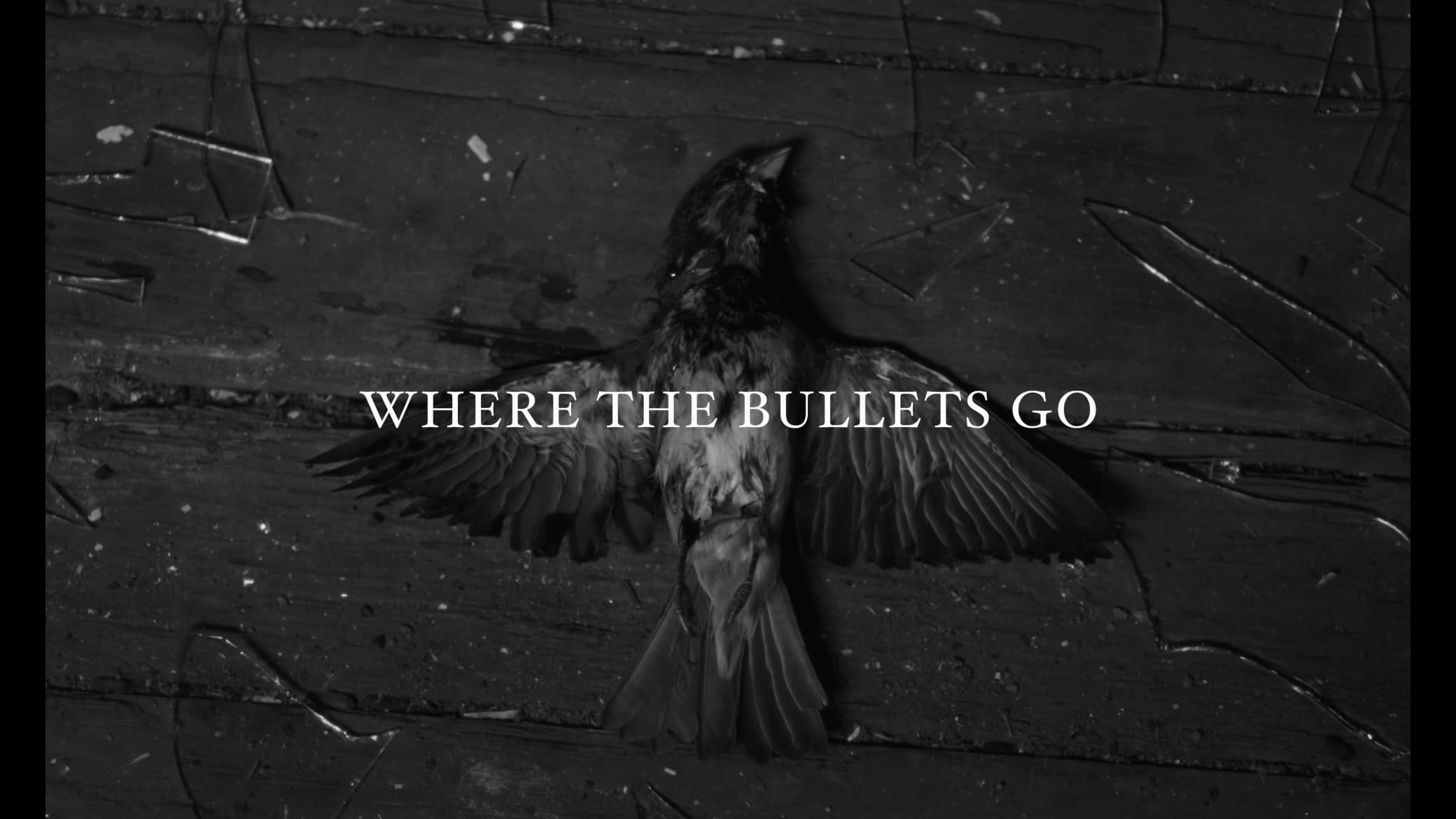 Where the Bullets Go (1970)