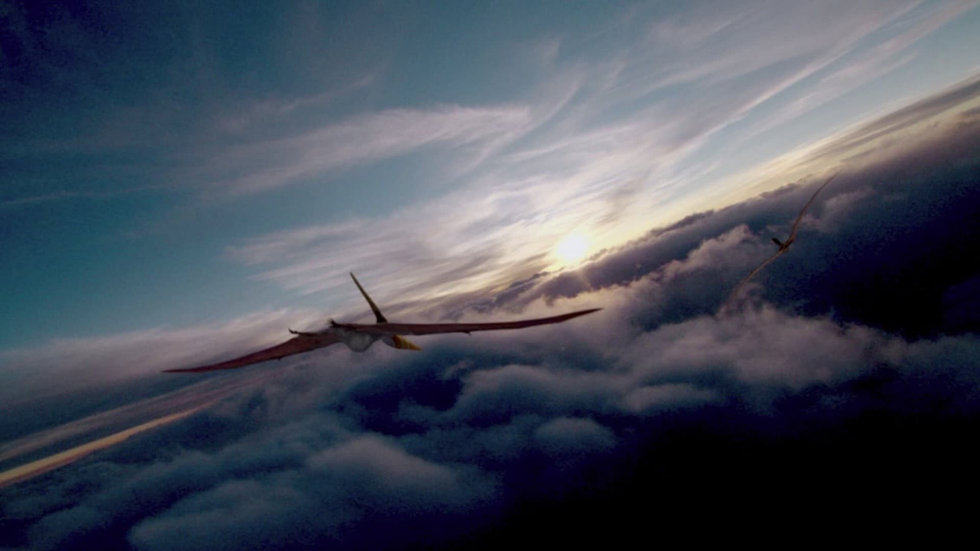 Gigantes voladores 3D con David Attenborough