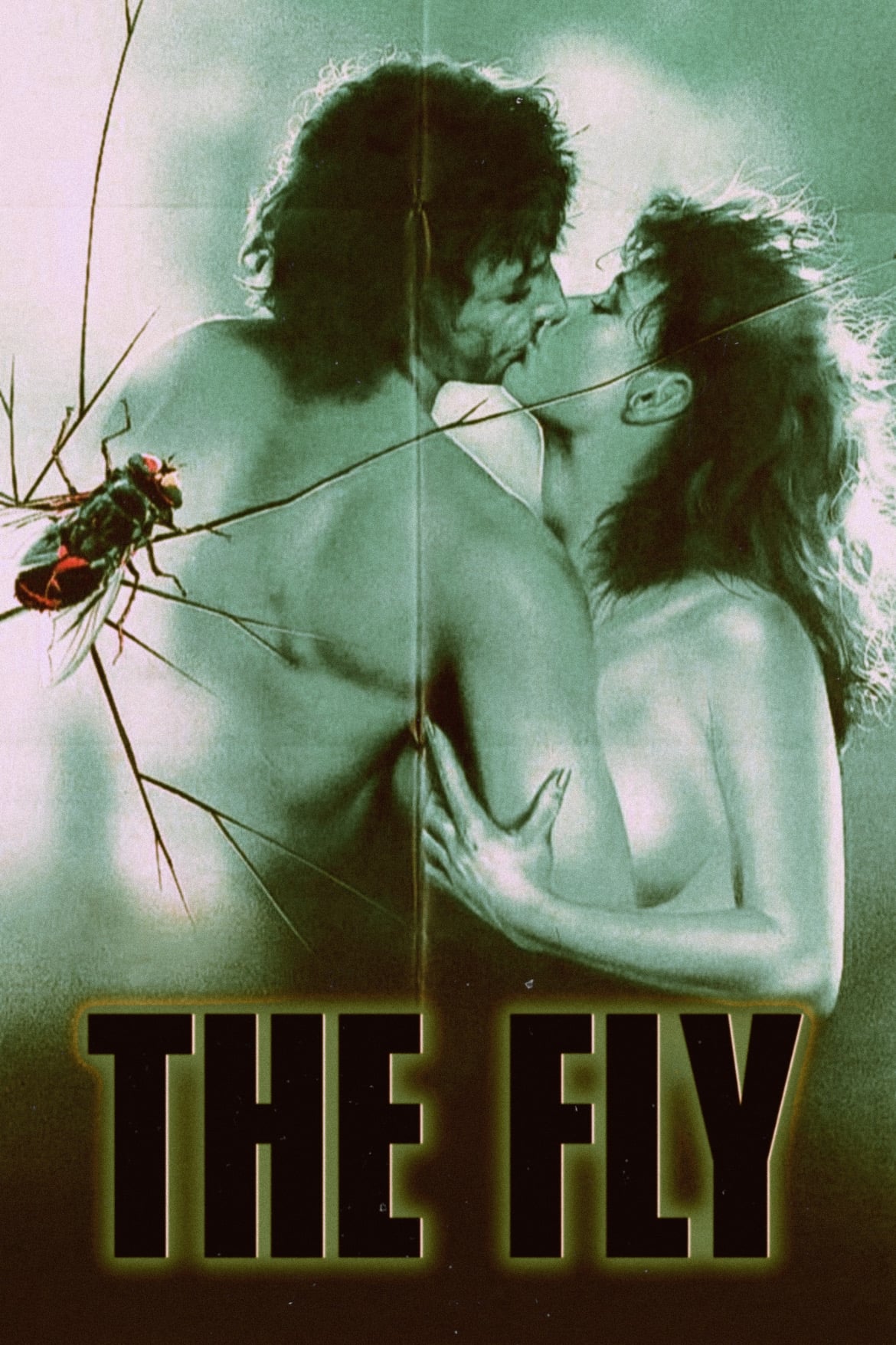 The Fly
