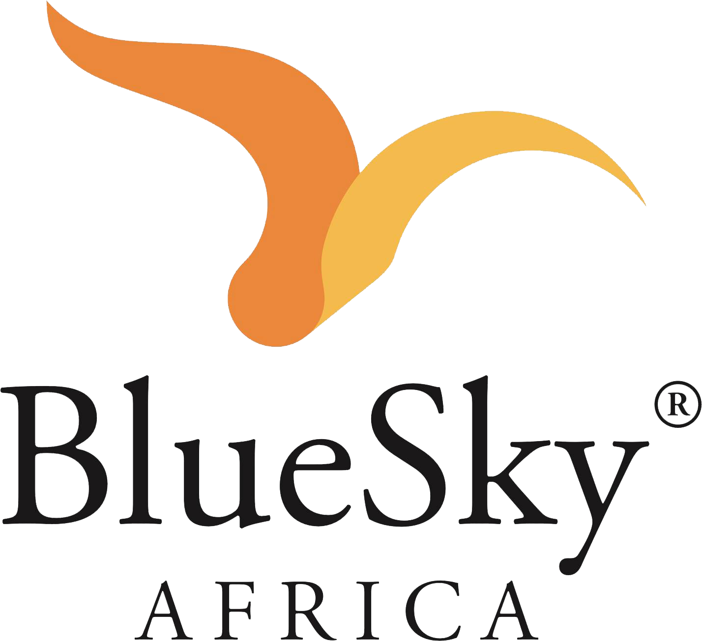 Blue Sky Africa