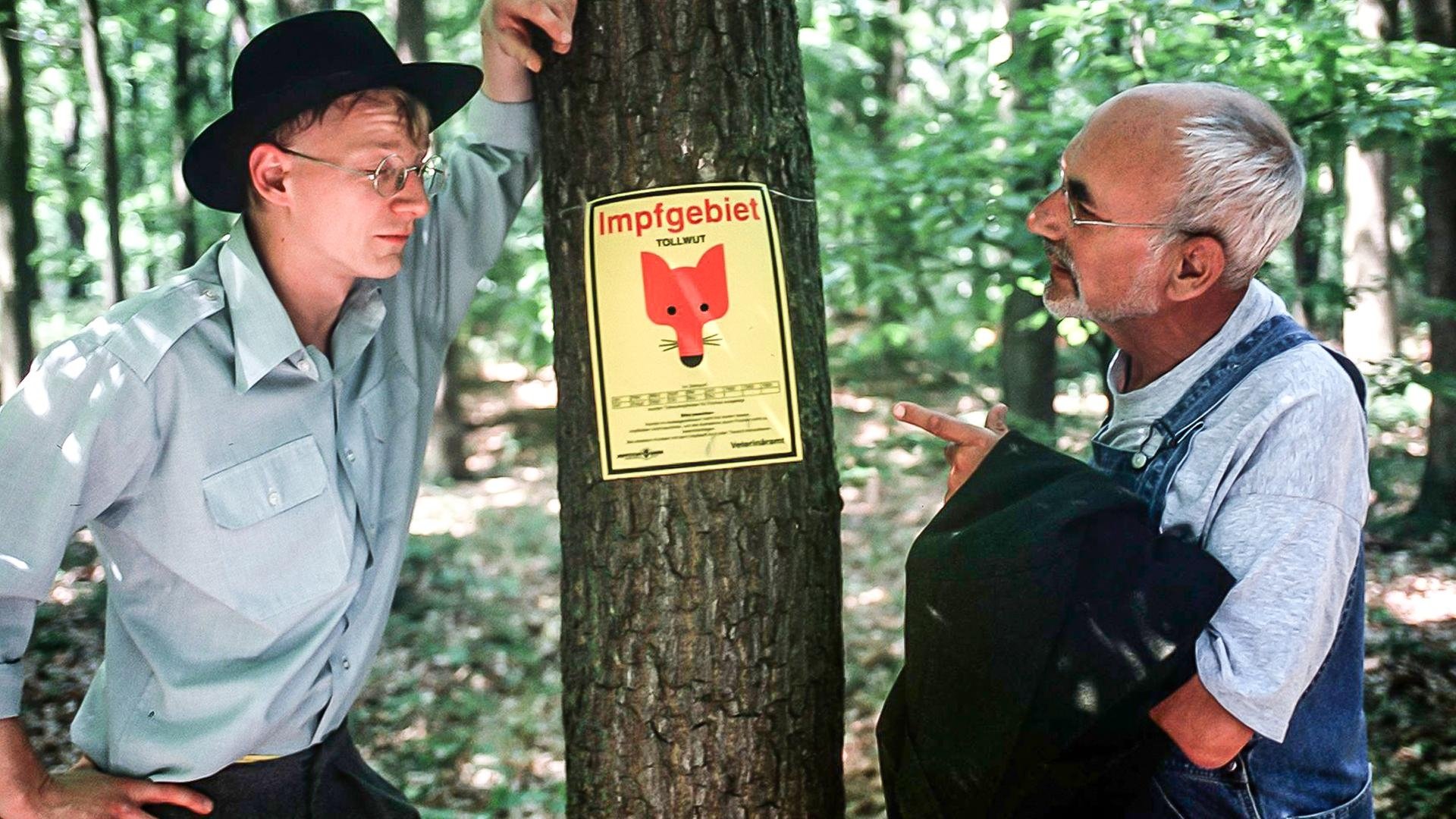 Löwenzahn