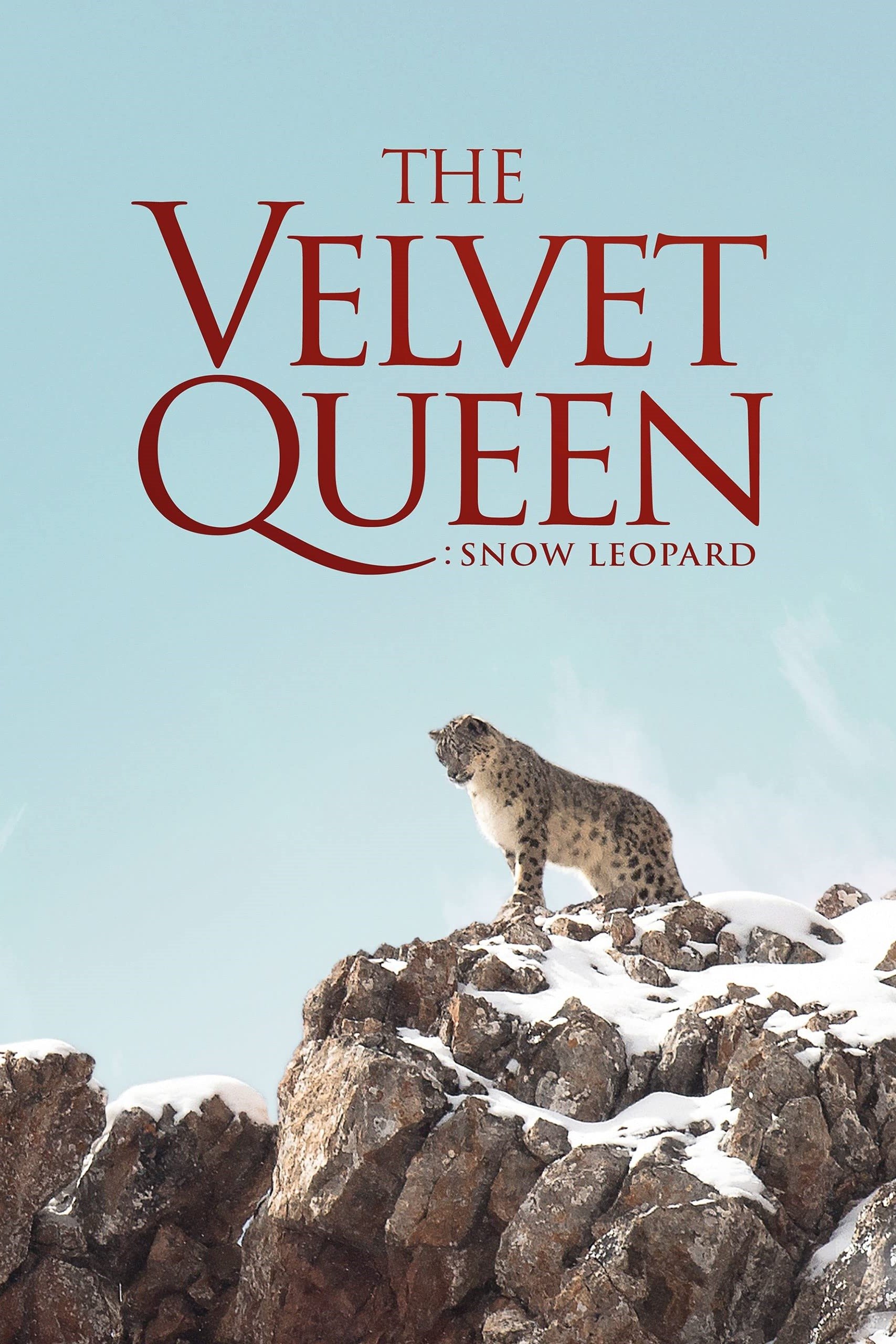 The Velvet Queen