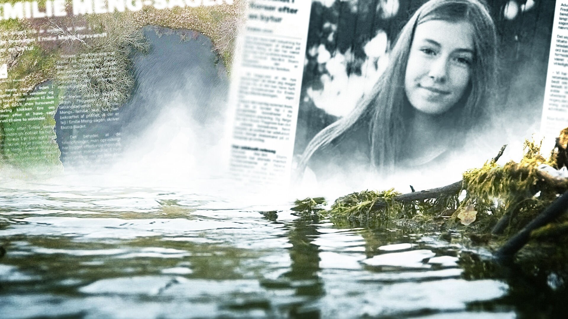 Emilie Meng - an investigation goes awry background