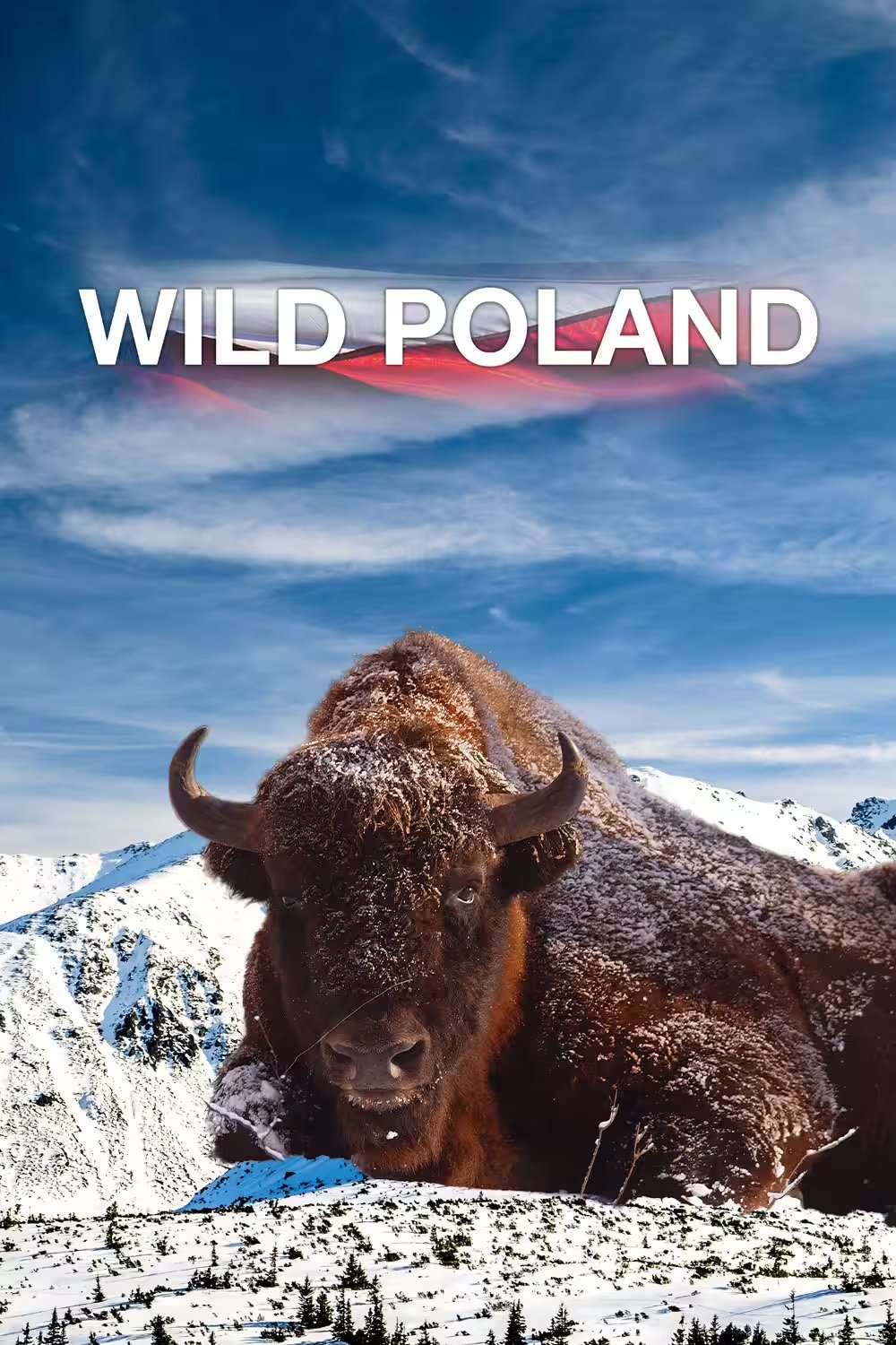 Wild Poland