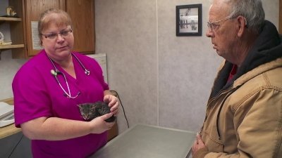 The Incredible Dr. Pol