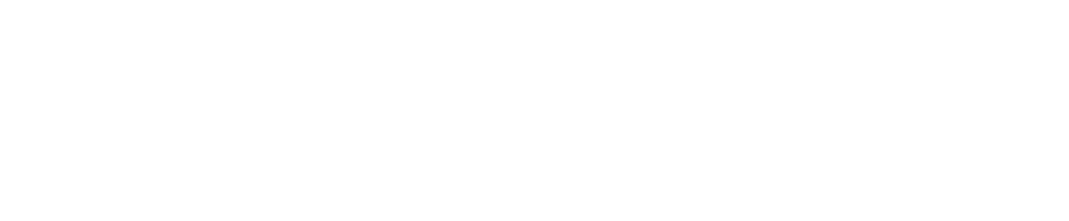 American Manhunt: Osama bin Laden Logo