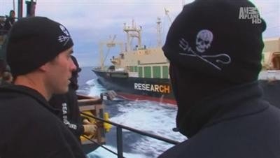 Whale Wars