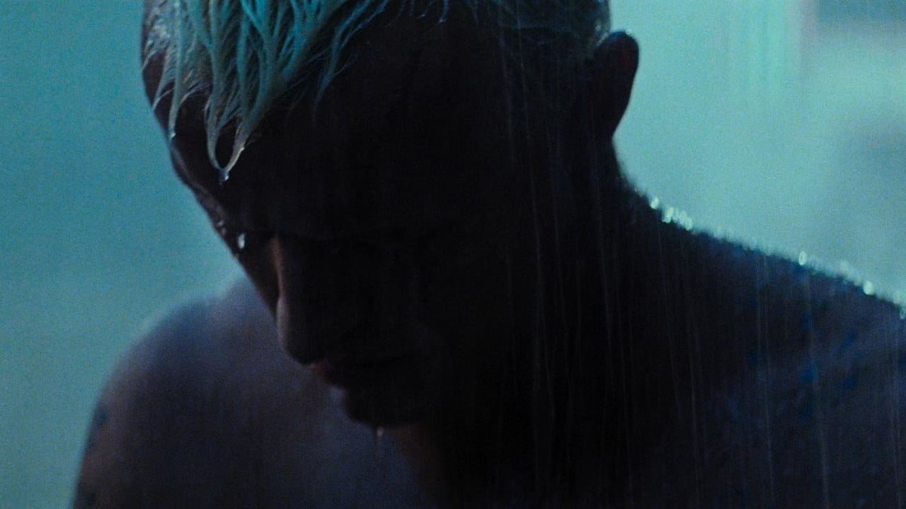 Image du film Blade Runner (Final Cut) 9iwu7p1fp4vlsiwokv3mpgvoaljjpg