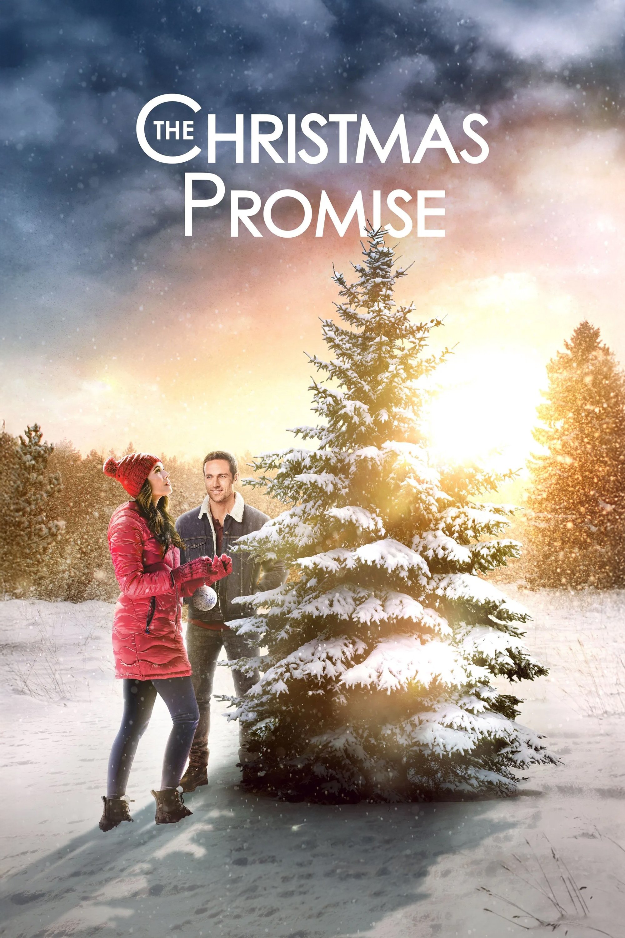 The Christmas Promise