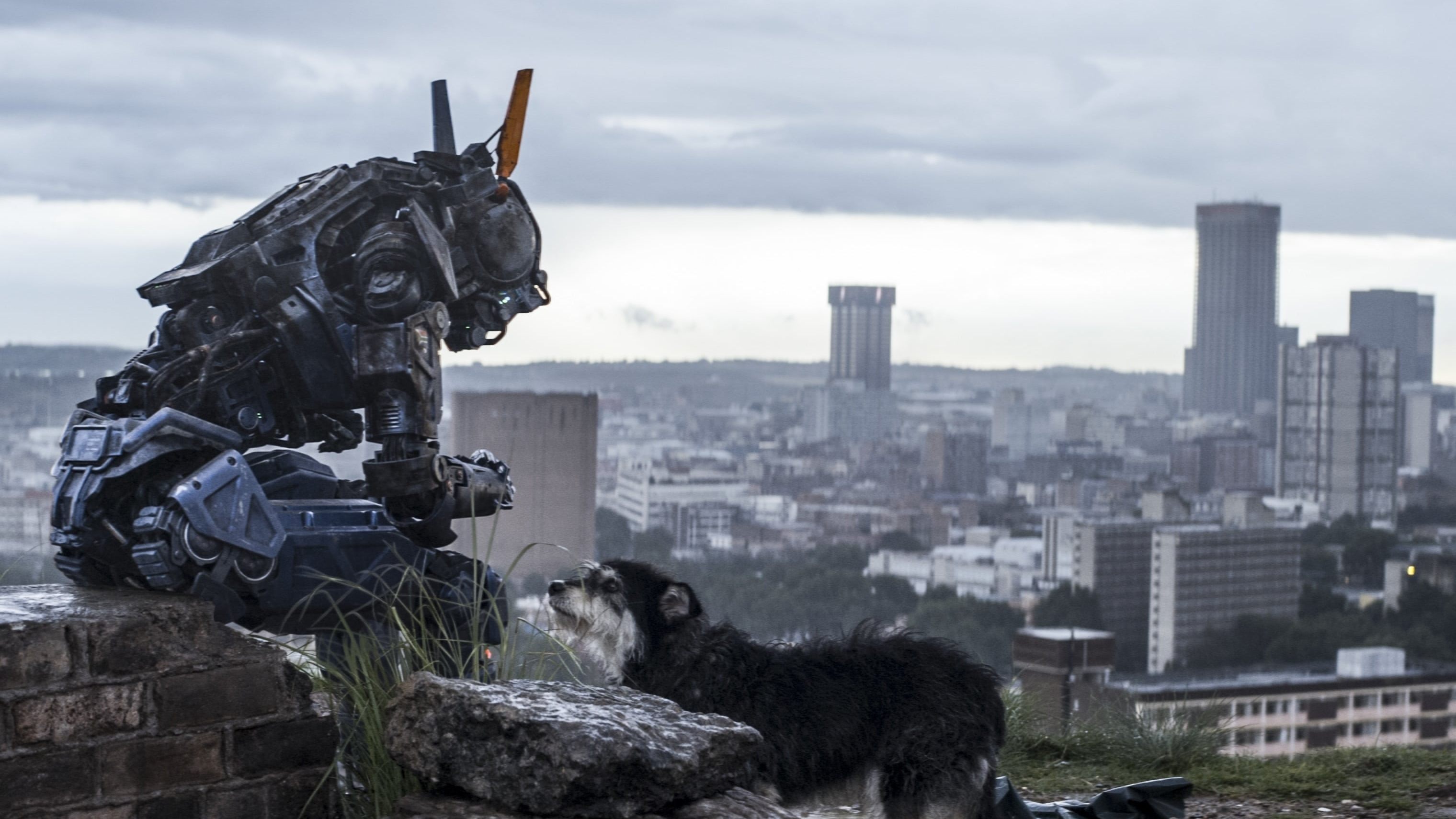 Image du film Chappie 9je6mvlmlilxecucq9cfdcbnli7jpg