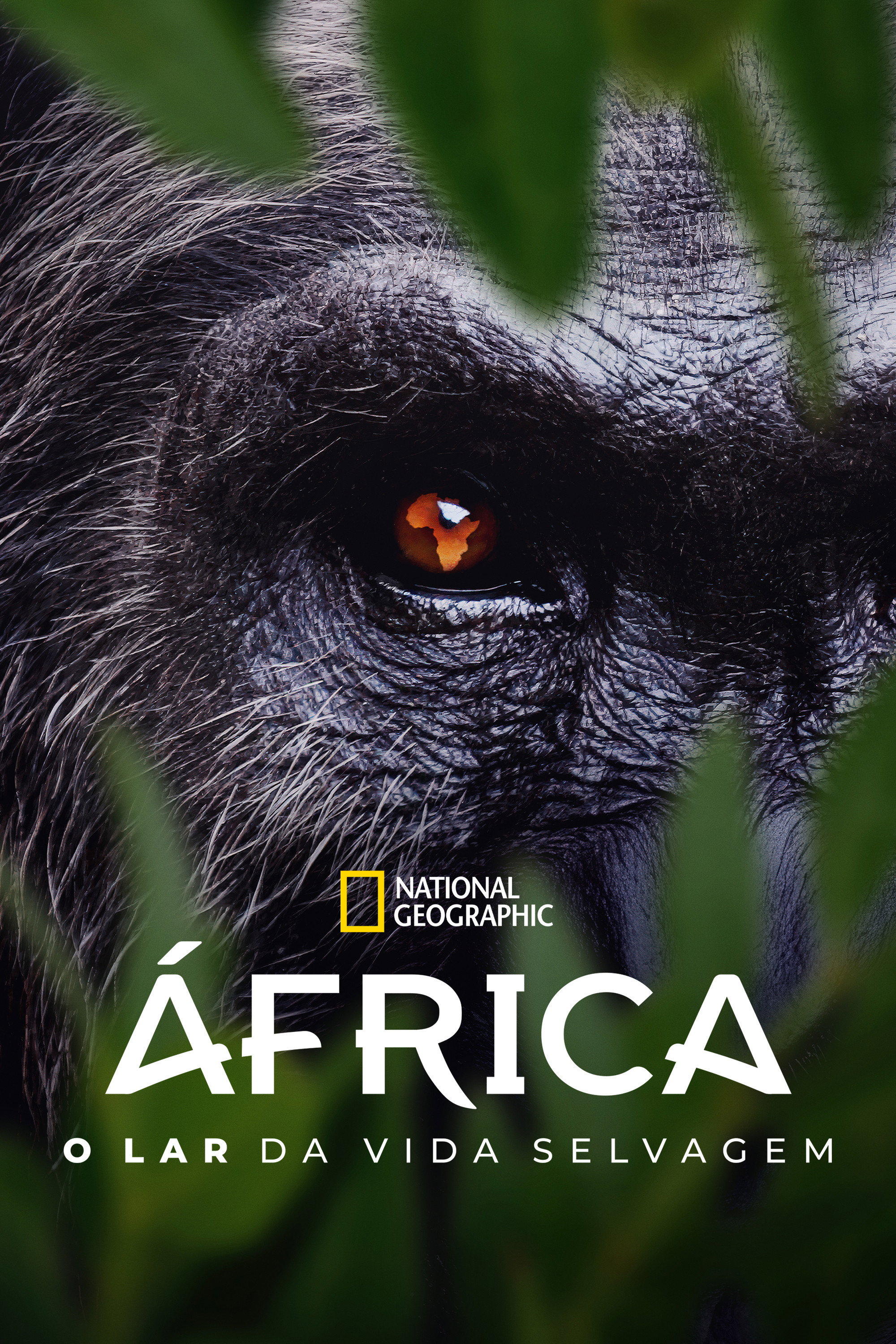 Imagem de fundo de Africa Earth's Wild Home