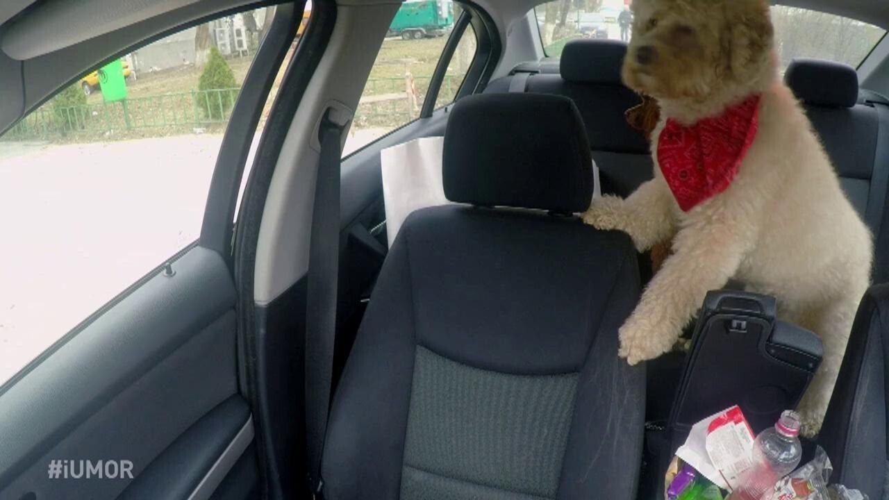 Episode 9