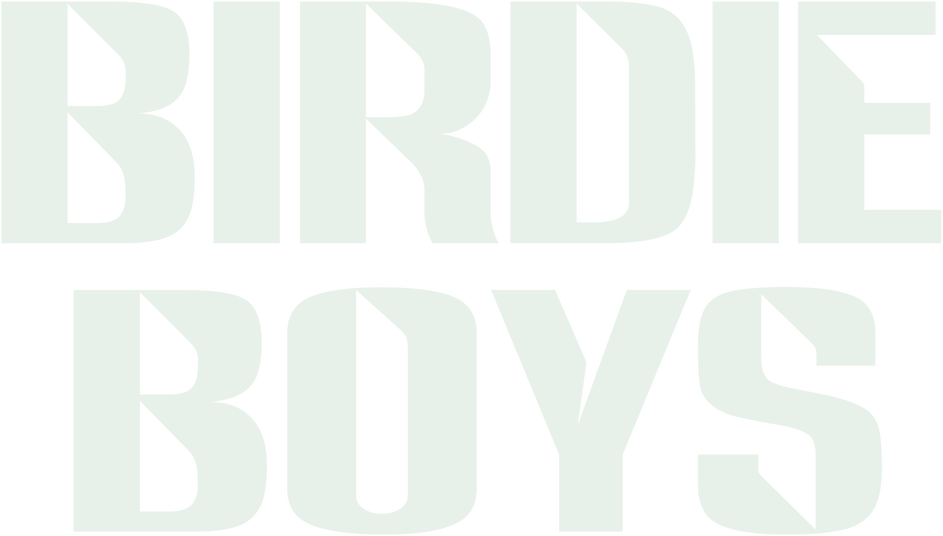 Birdie Boys Logo