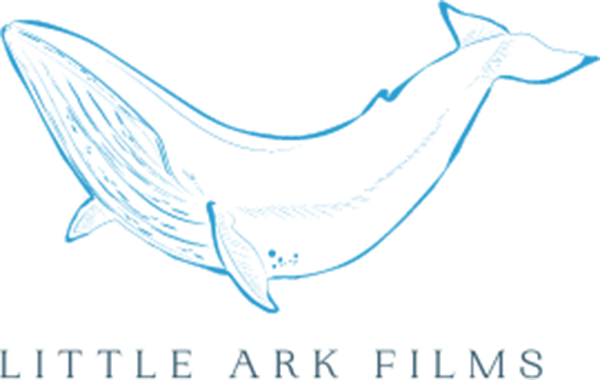 Little Ark Films