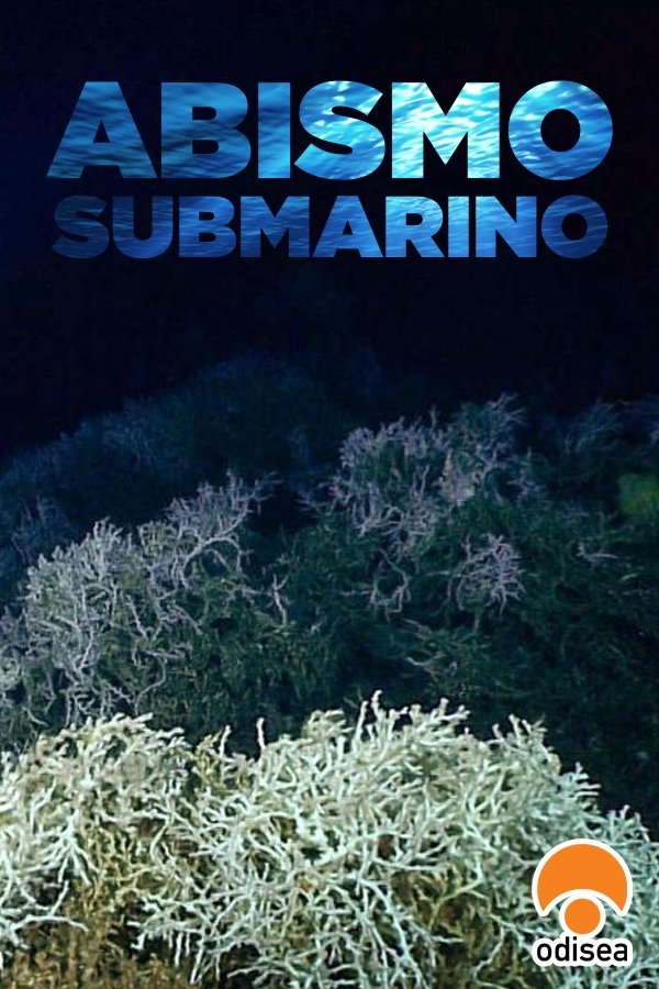 Content cover