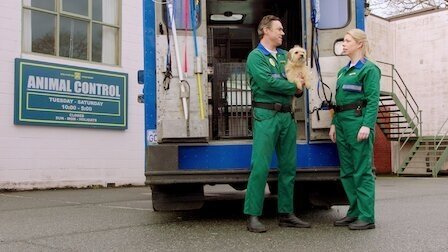 Pup Academy