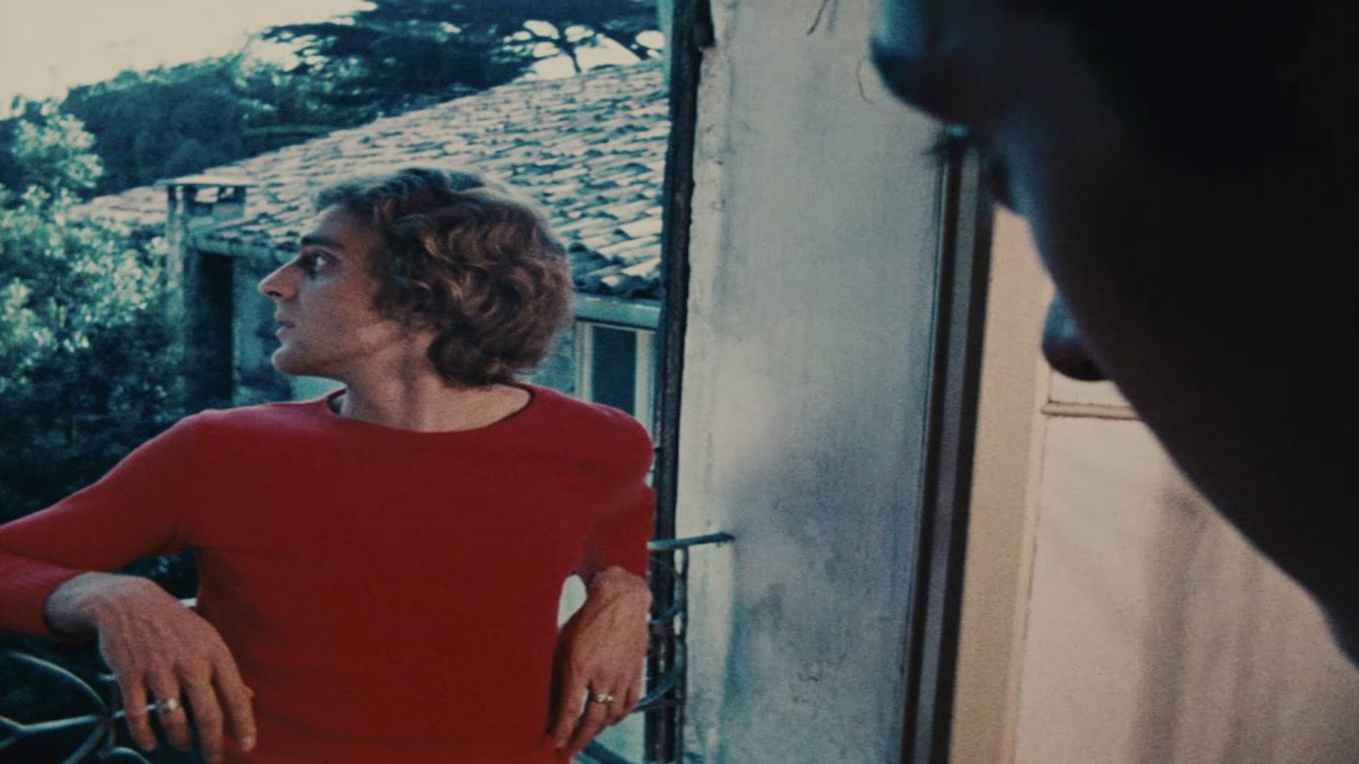 From the Notebook of...