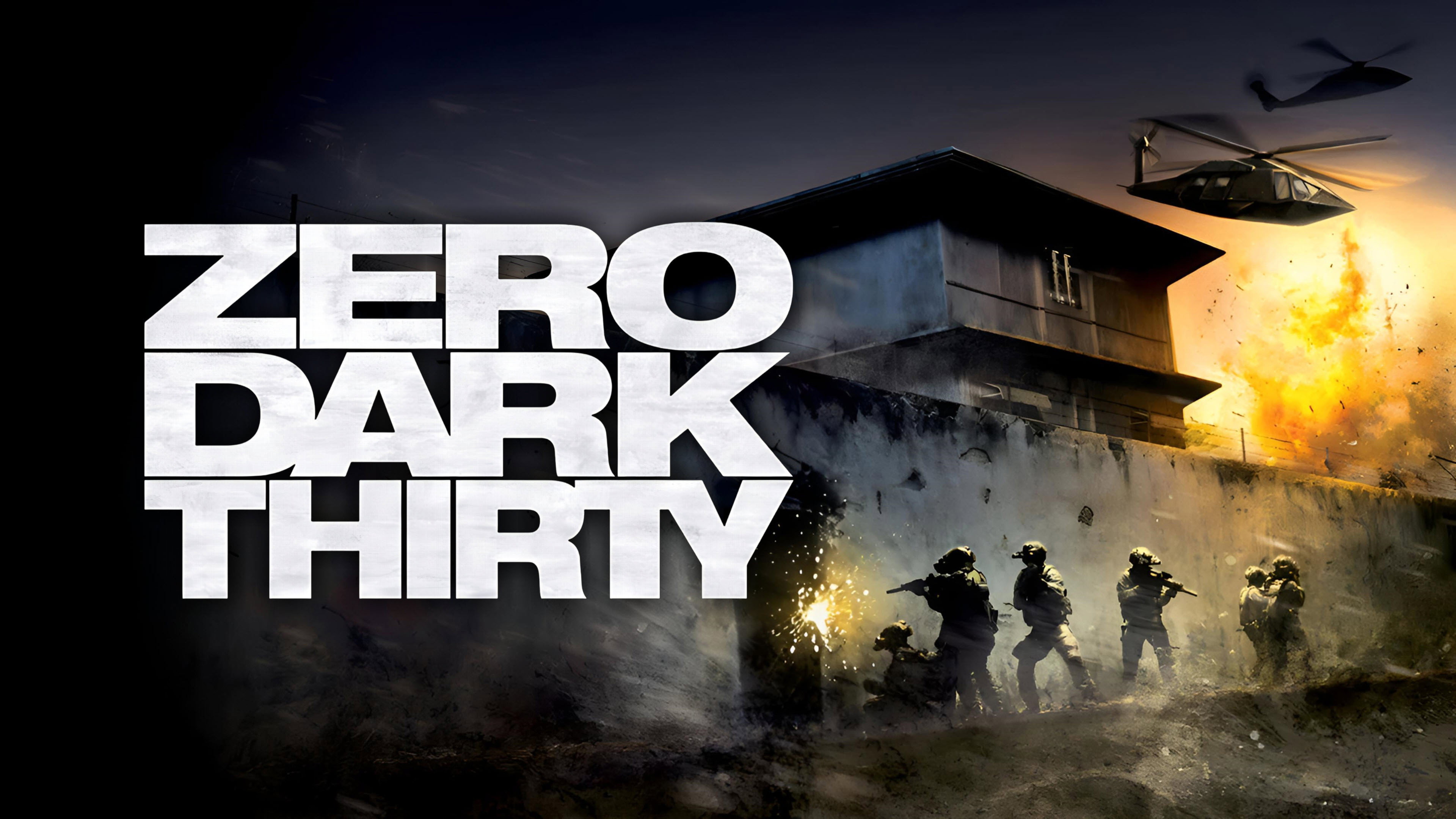 Zero Dark Thirty