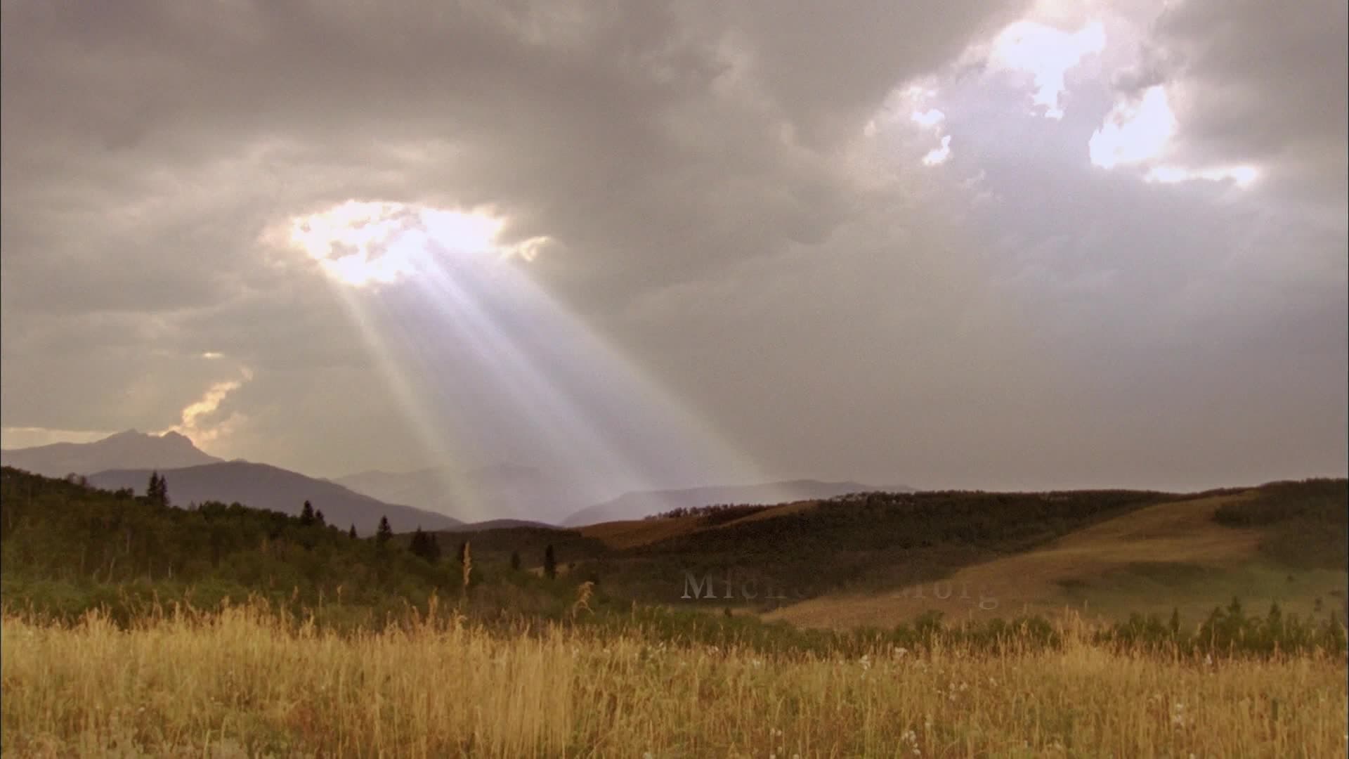 Heartland - Season 5 Episode 1 : La búsqueda de la libertad (2023)