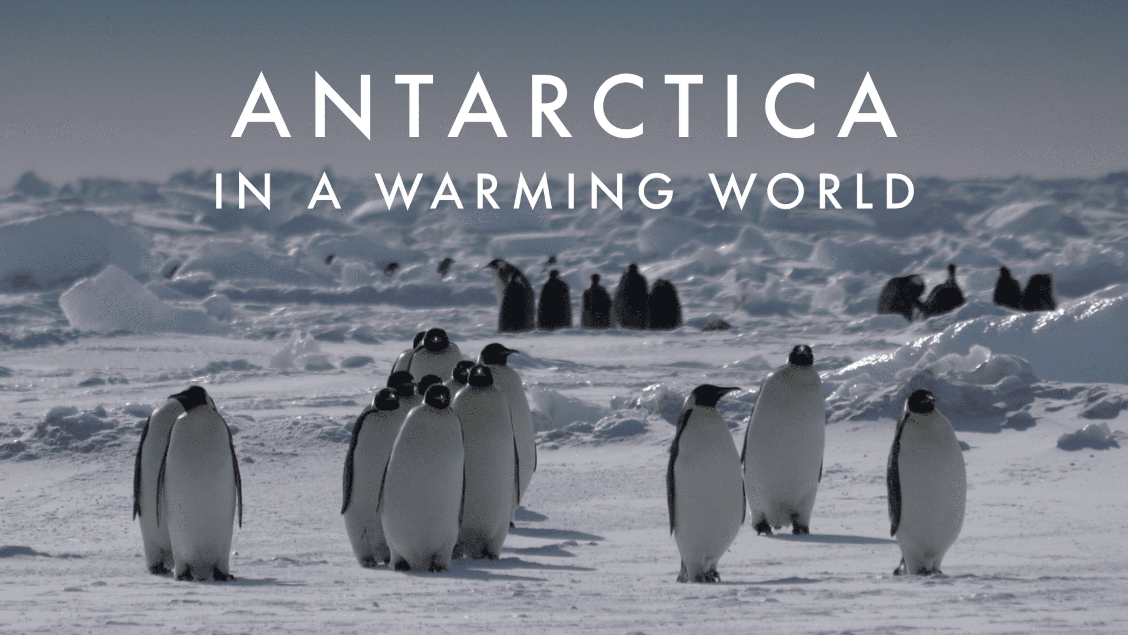 Antarctica in a Warming World