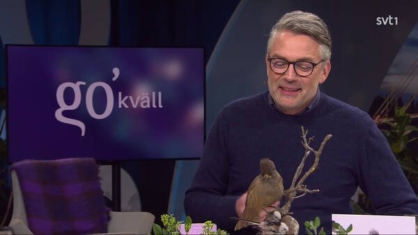 Go'kväll - Épisode 69