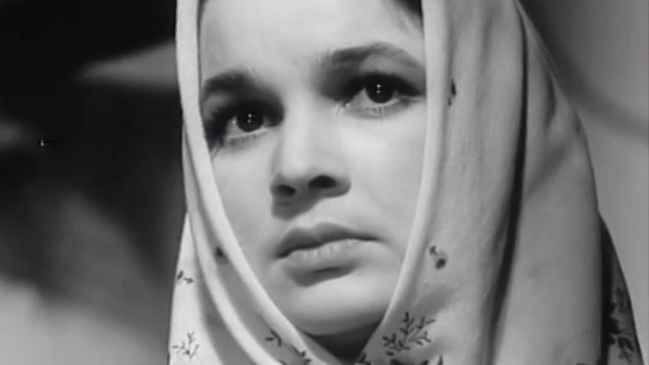 Flower on the Stone (1963)