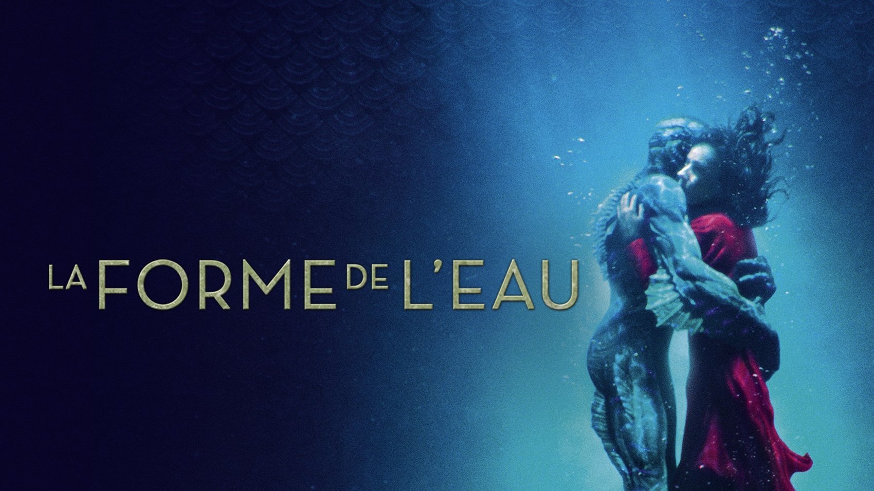 Image du film La Forme de l'eau 9ofl2qmgebg2bejuq3nlygh45hrjpg