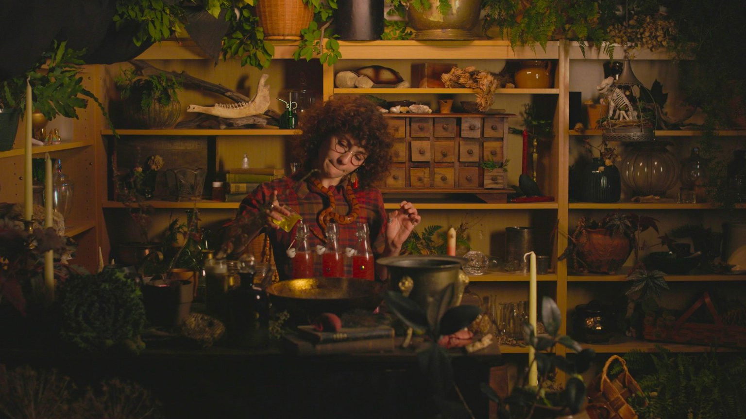 Shanti Shanti Sayonara