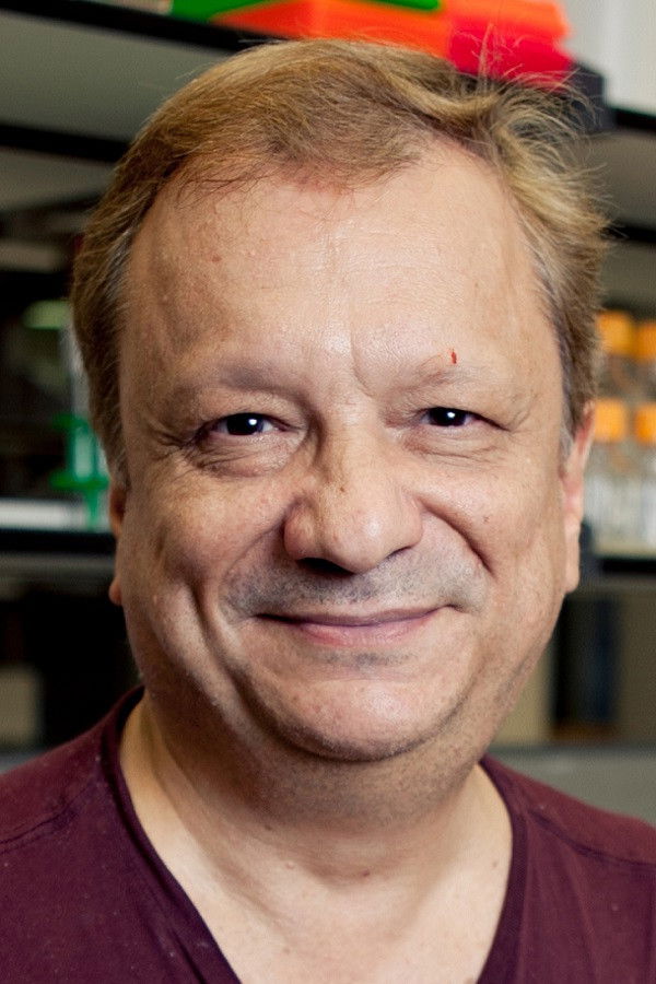 et billede af Michael Rampino