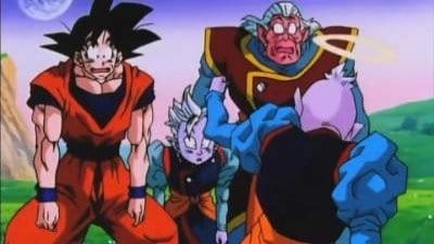 Dragonball Z Staffel 9 :Folge 13 