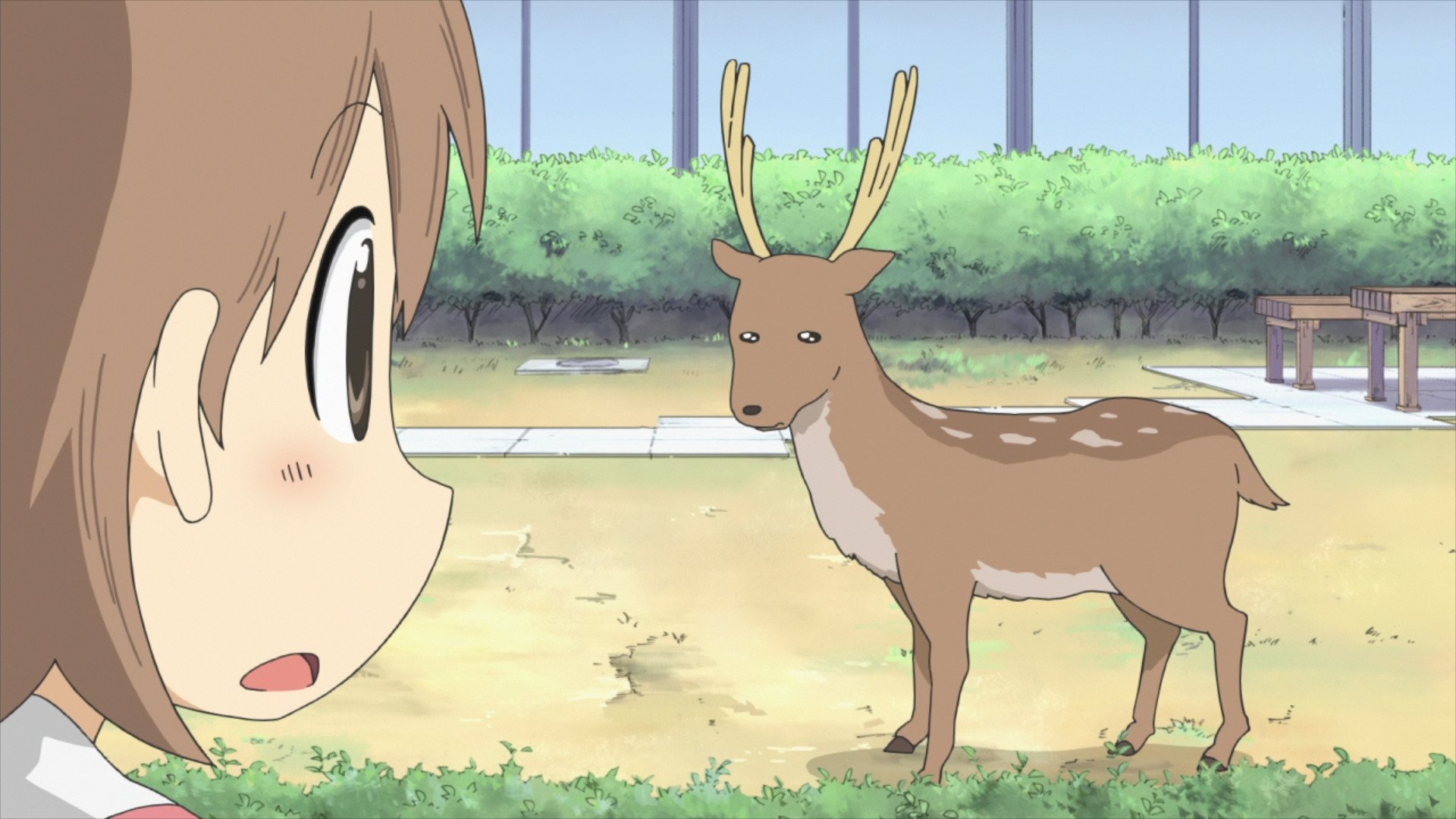 Nichijou: My Ordinary Life