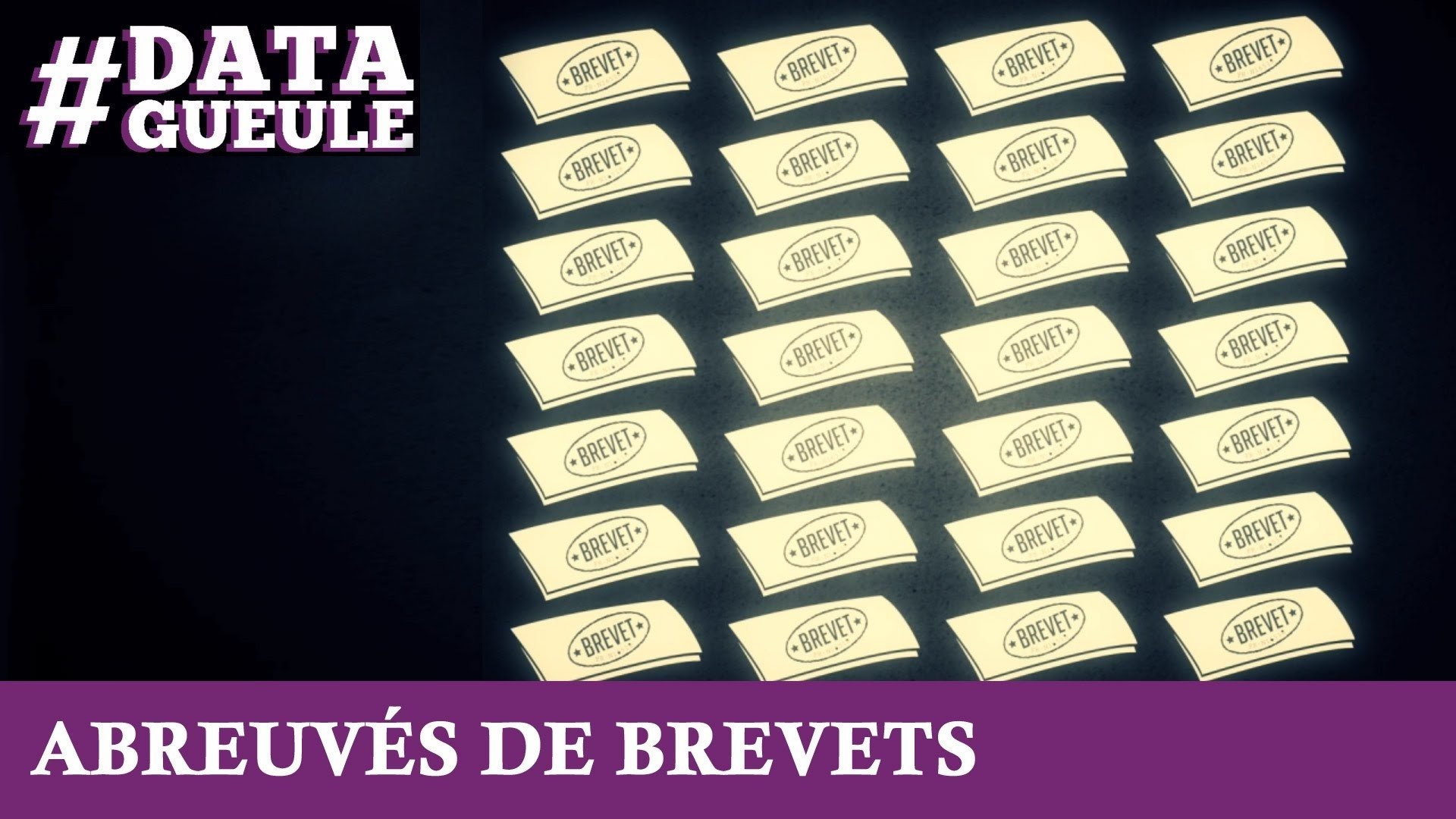 Data Gueule - Abreuvés de brevets