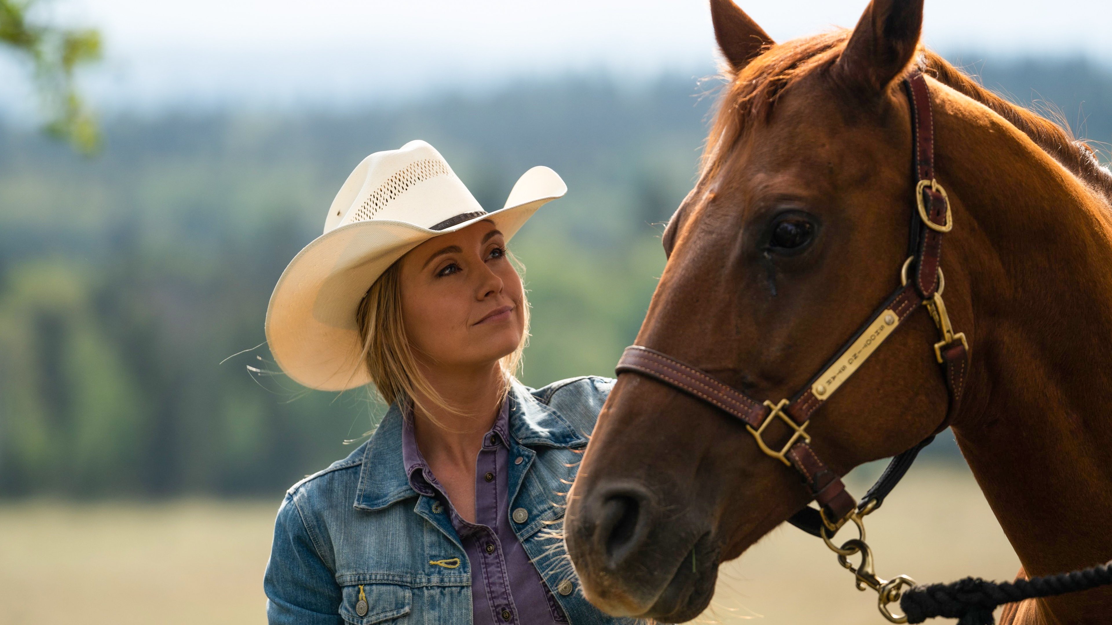 Heartland - Paradies für Pferde Staffel 12 :Folge 9 