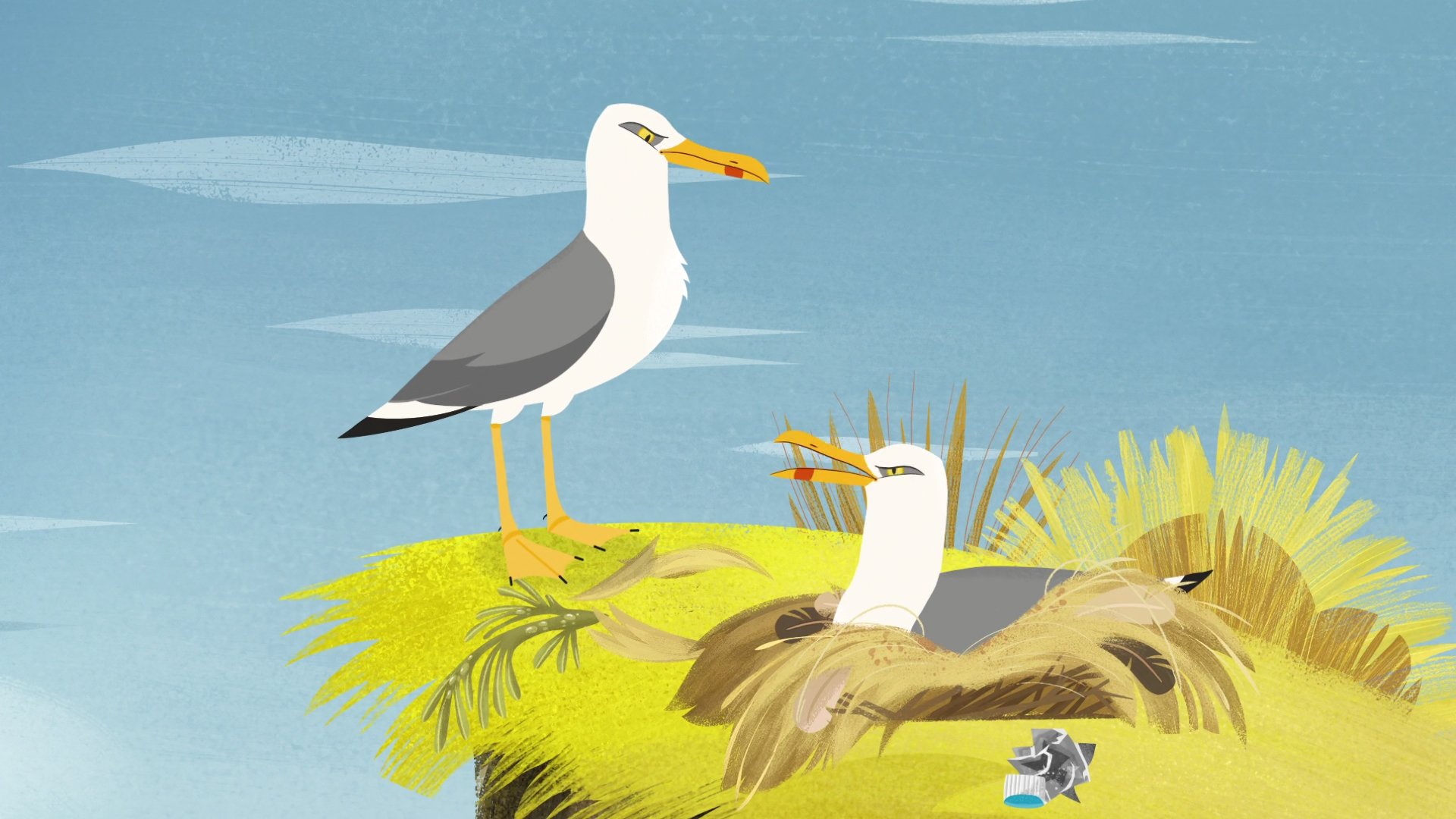Puffin Rock