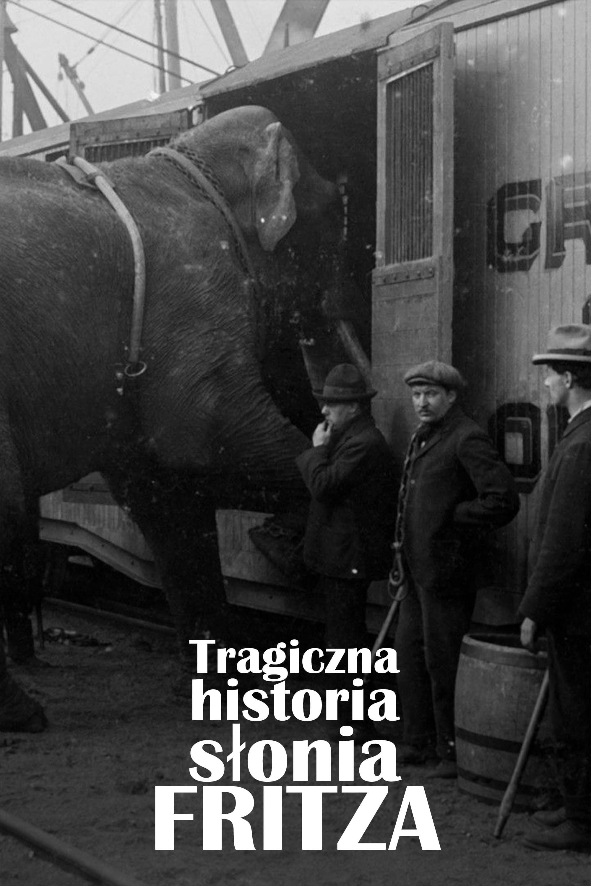 La Tragique Histoire de Fritz l'éléphant