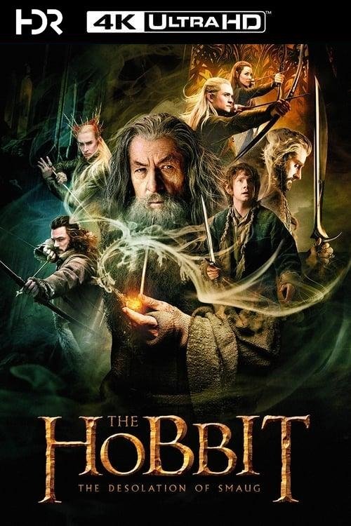The Hobbit: The Desolation of Smaug